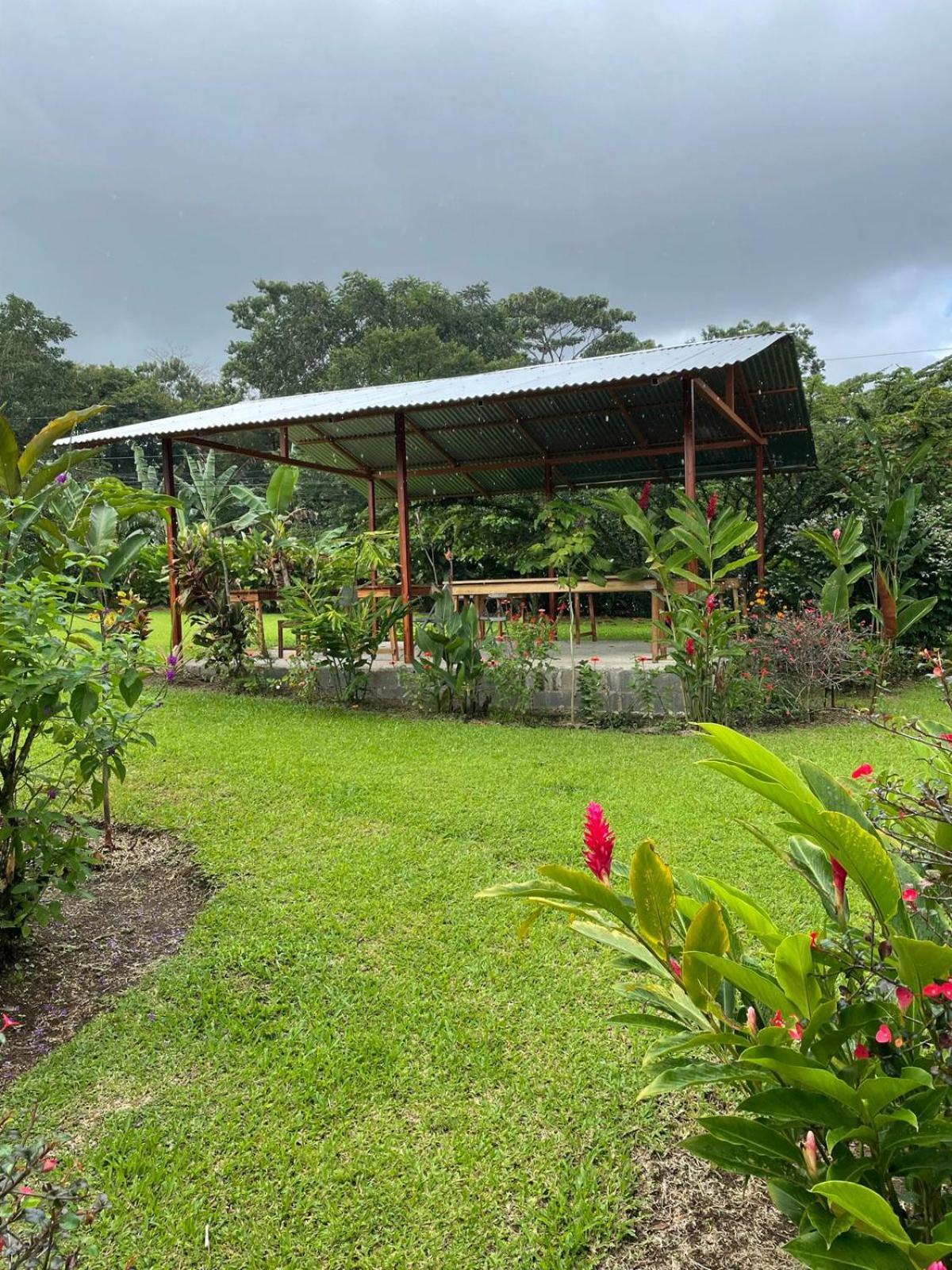 Cabinas La Catarata La Fortuna Bagian luar foto